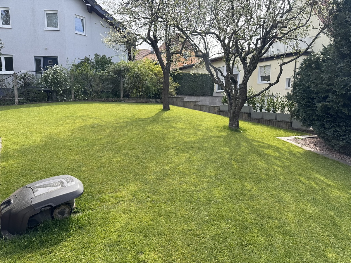 Ein gepflegter Garten mit Rasenmähroboter und zwei Bäumen auf grünem Rasen