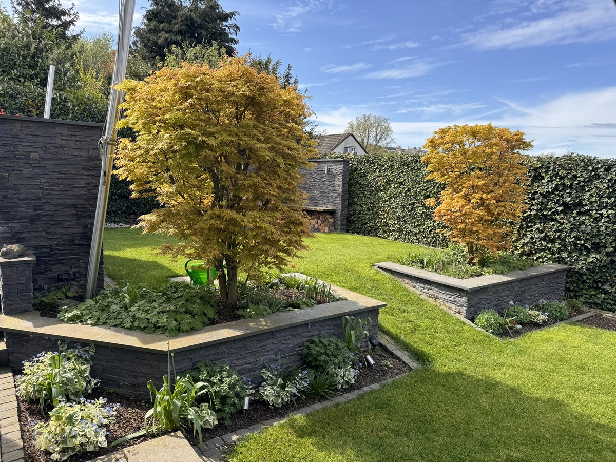 Ein gepflegter Garten mit zwei orangefarbenen Bäumen und grünem Rasen.