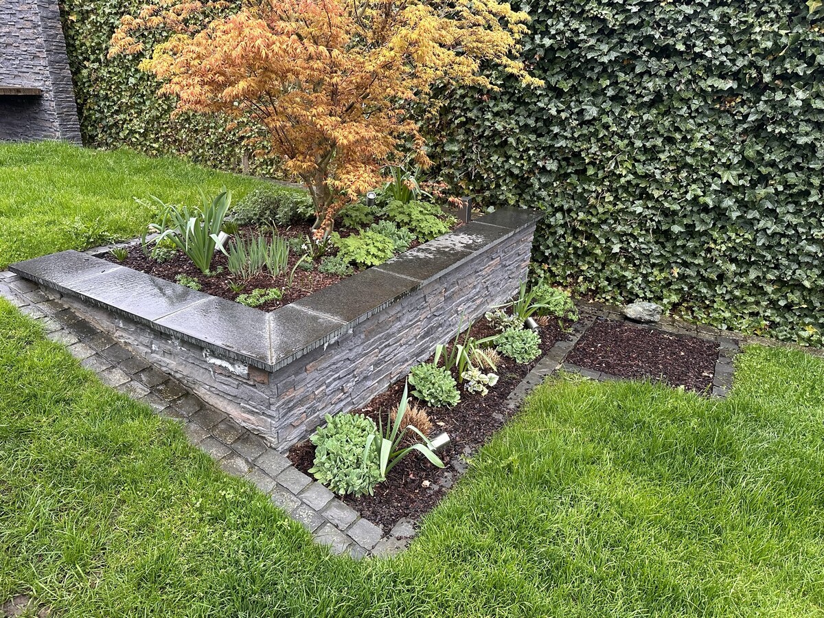 Eine erhöhte Steinbeet mit buntem Herbstbaum und grünen Pflanzen umgeben von Rasen.