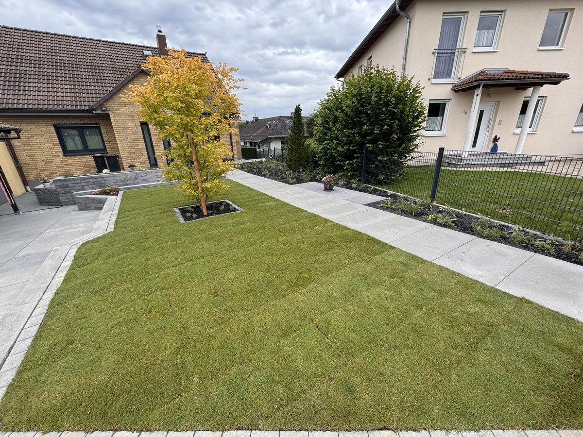 Ein gepflegter Rasen mit einem einzelnen Baum, umgeben von grauen Fliesen und zwei Häusern im Hintergrund.