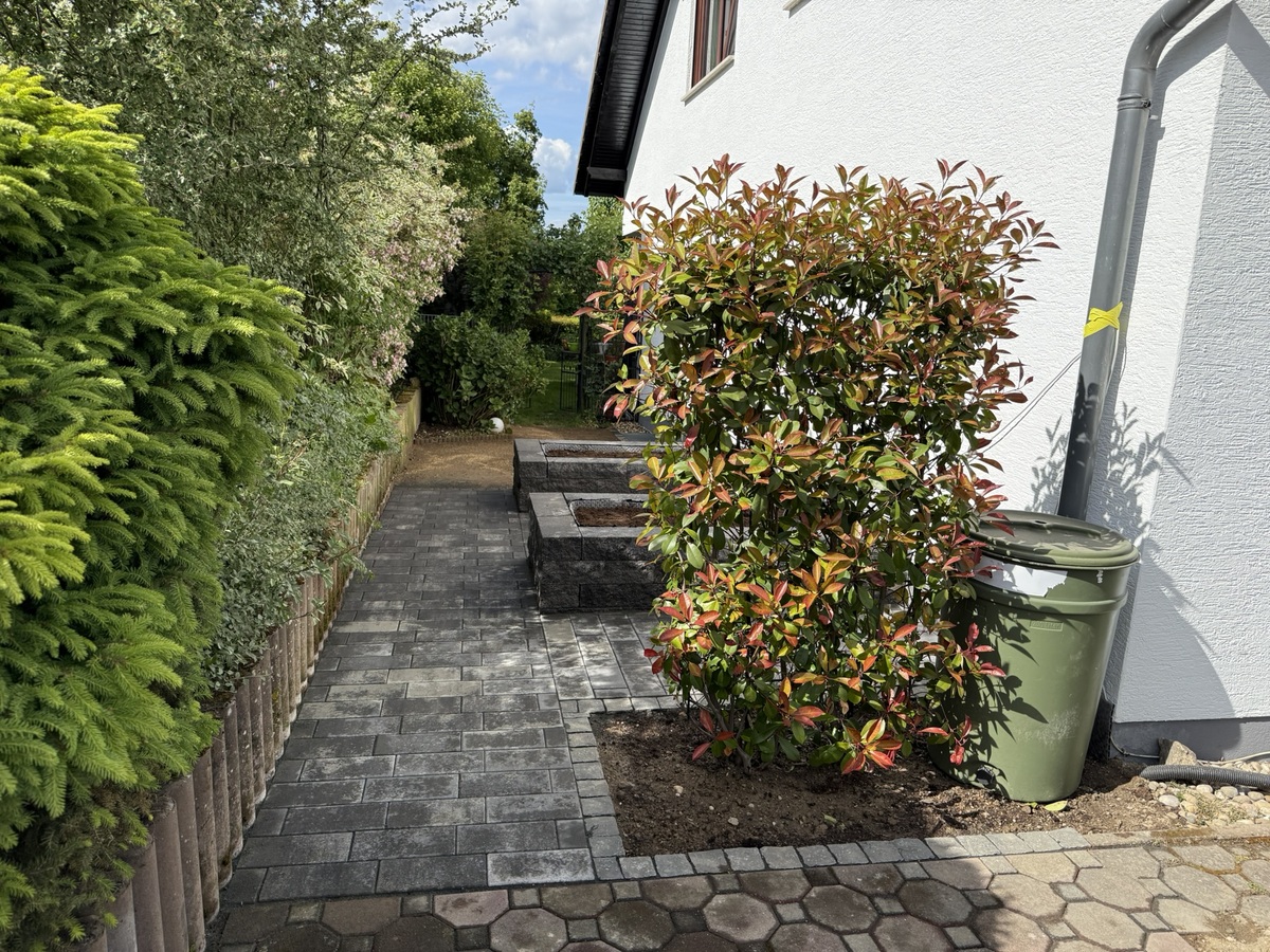 Ein gepflasterter Weg führt an einem weißen Haus entlang, umgeben von grünen und roten Sträuchern.