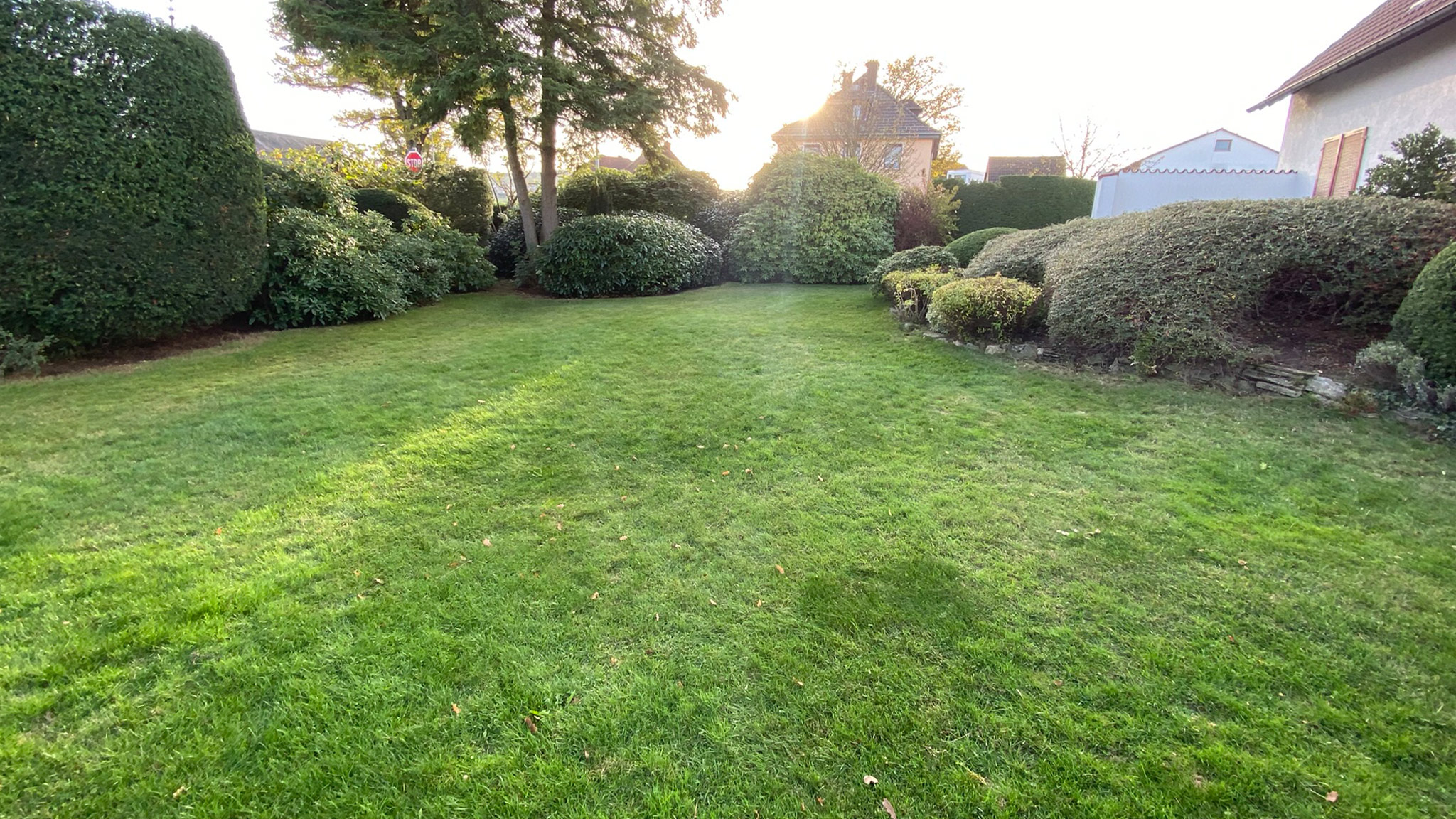 Ein gepflegter Garten mit grünem Rasen und umgeben von Hecken und Bäumen.