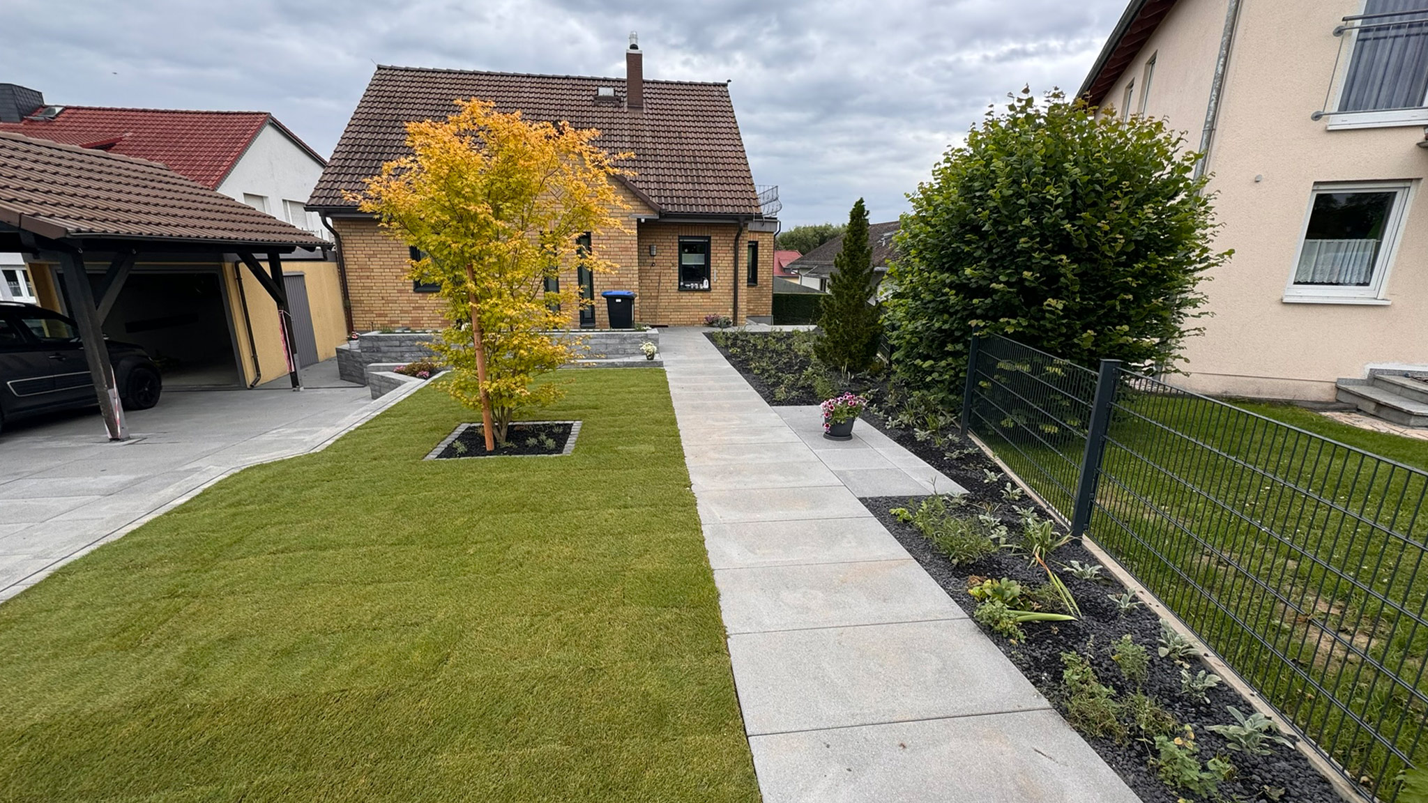 Ein gepflegter Garten mit Pflasterweg, gelbem Baum und modernen Häusern im Hintergrund